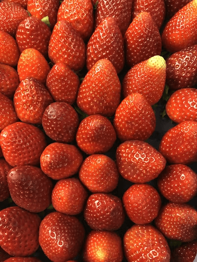 Seasonal Fruits